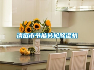 常见问题清远市节能转轮除湿机