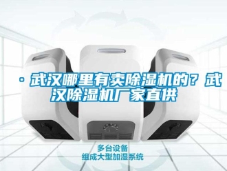 企业新闻·武汉哪里有卖除湿机的？武汉除湿机厂家直供