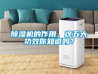 企业新闻除湿机的作用，这五大功效你知道吗？