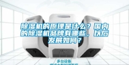 除湿机的原理是什么？国内的除湿机品牌有哪些，以后发展如何？