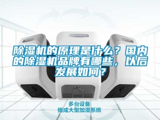企业新闻除湿机的原理是什么？国内的除湿机品牌有哪些，以后发展如何？