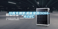 冷库专用低温吸湿器DDH-828C