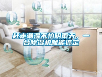 企业新闻赶走潮湿不怕阴雨天，一台除湿机就能搞定