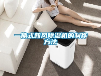 常见问题一体式新风除湿机的制作方法