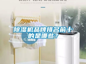 企业新闻除湿机品牌排名前十的是哪些？
