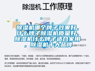 企业新闻除湿机哪个牌子效果好，什么牌子除湿机质量好，除湿机什么牌子适合家用，除湿机十大品牌