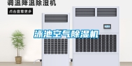 泳池空气除湿机