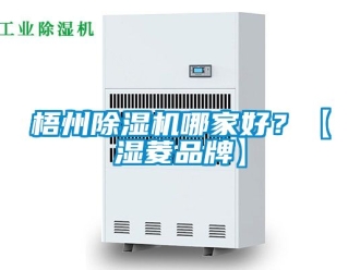 企业新闻梧州除湿机哪家好？【湿菱品牌】