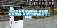 非标定制除湿机价格-非标定制除湿机-天津五洲同创公司(查看)
