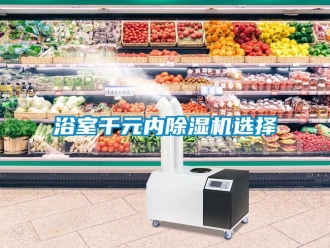 知识百科浴室千元内除湿机选择