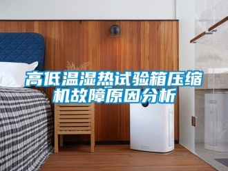 常见问题高低温湿热试验箱压缩机故障原因分析