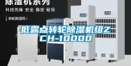 低露点转轮除湿机组ZCH-10000