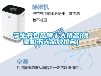 企业新闻学生书包品牌十大排名(除湿机十大品牌排名)