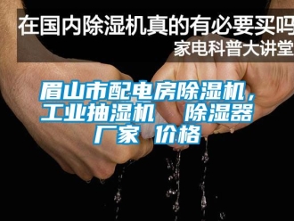 企业新闻眉山市配电房除湿机，工业抽湿机  除湿器厂家 价格