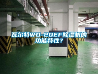行业新闻瓦尔特WD-20EF除湿机的功能特性？
