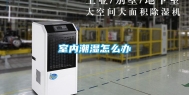 室内潮湿怎么办