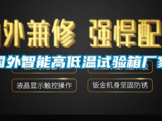 常见问题国外智能高低温试验箱厂家