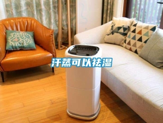 行业新闻汗蒸可以祛湿