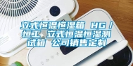 立式恒温恒湿箱 HG／恒工 立式恒温恒湿测试箱 公司销售定制