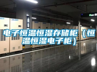 知识百科电子恒温恒湿存储柜（恒温恒湿电子柜）