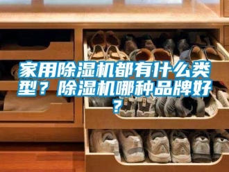 企业新闻家用除湿机都有什么类型？除湿机哪种品牌好？