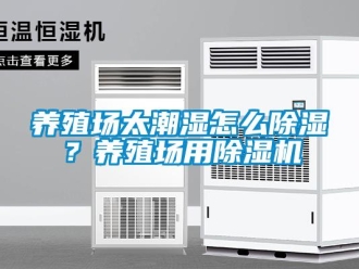 常见问题养殖场太潮湿怎么除湿？养殖场用除湿机