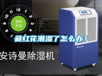企业新闻藏红花潮湿了怎么办？