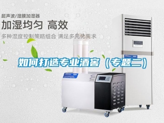 常见问题如何打造专业酒窖（专题二）