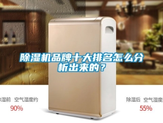企业新闻除湿机品牌十大排名怎么分析出来的？