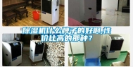除湿机什么牌子的好啊,性价比高的那种？