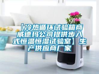 常见问题【冷热循环试验箱商 威德玛公司提供步入式恒温恒湿试验室】生产供应商厂家