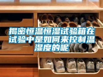 知识百科揭密恒温恒湿试验箱在试验中是如何来控制温湿度的呢