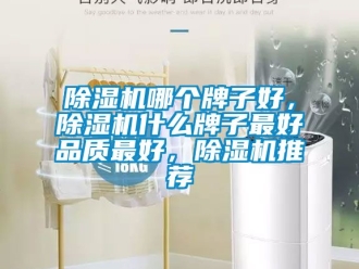 行业新闻除湿机哪个牌子好，除湿机什么牌子最好品质最好，除湿机推荐
