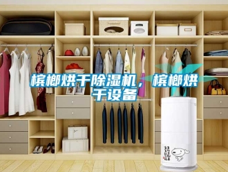 企业新闻槟榔烘干除湿机，槟榔烘干设备