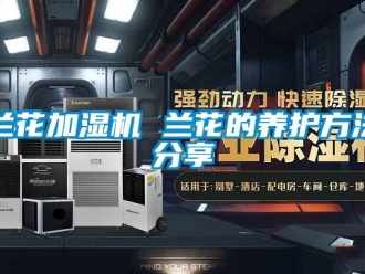 行业新闻兰花加湿机 兰花的养护方法分享