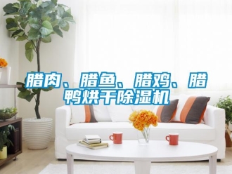 行业新闻腊肉、腊鱼、腊鸡、腊鸭烘干除湿机