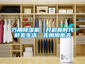 行业新闻巧用除湿机，开启新时代舒爽生活，无惧阴雨天
