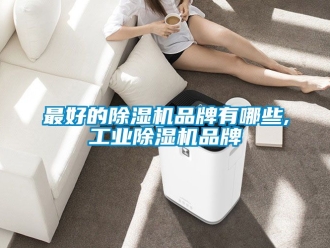 常见问题最好的除湿机品牌有哪些,工业除湿机品牌