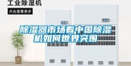 除湿器市场看中国除湿机如何世界突围