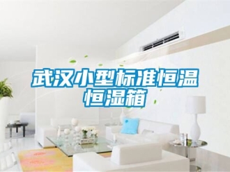 知识百科武汉小型标准恒温恒湿箱