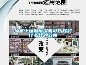 知识百科酒窖中恒温恒湿机可以起到什么样的效果