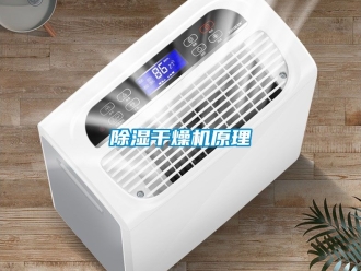 企业新闻除湿干燥机原理