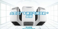 大型工厂车间空气除湿机＊品质
