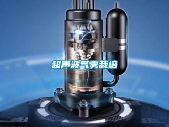 企业新闻超声波气雾栽培
