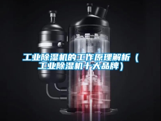 常见问题工业除湿机的工作原理解析（工业除湿机十大品牌）