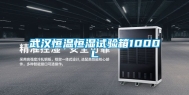 武汉恒温恒湿试验箱1000L