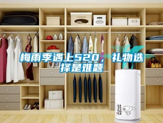 行业新闻梅雨季遇上520，礼物选择是难题