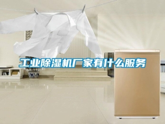 企业新闻工业除湿机厂家有什么服务