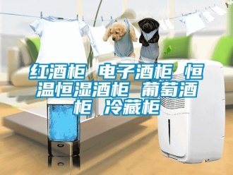 知识百科红酒柜 电子酒柜 恒温恒湿酒柜 葡萄酒柜 冷藏柜