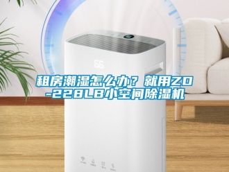 行业新闻租房潮湿怎么办？就用ZD-228LB小空间除湿机
